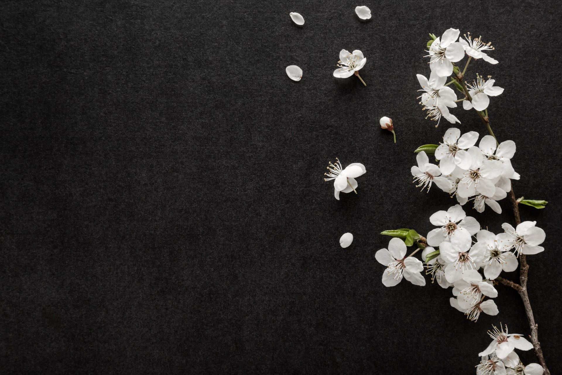 white flowers at a wake venue in nottingham